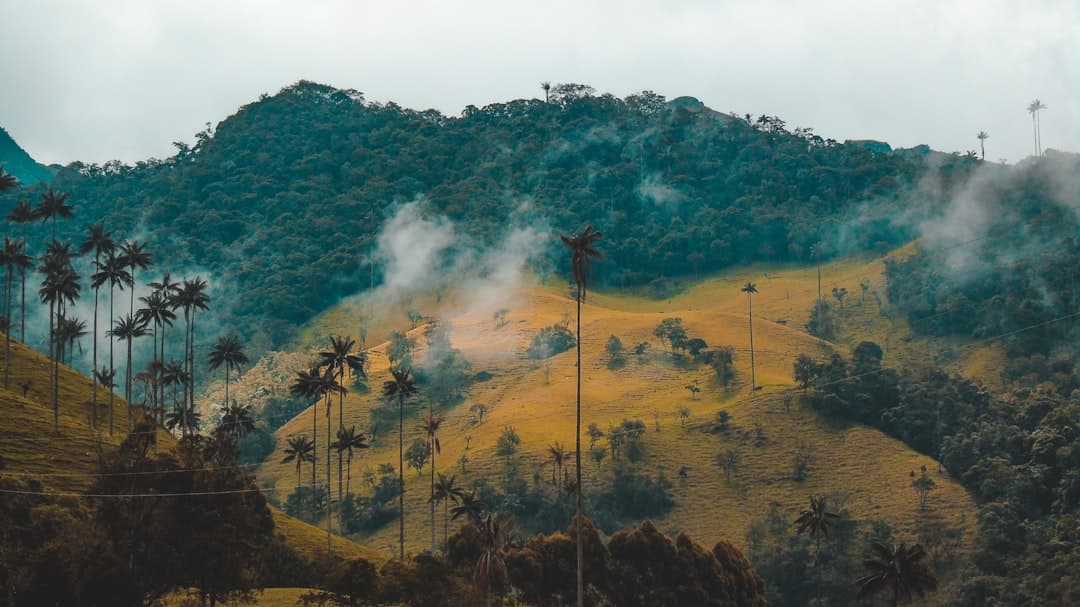 Colombia's Eje Cafetero Draws Growing Wave of Adventure Travelers to Its Highland Trails