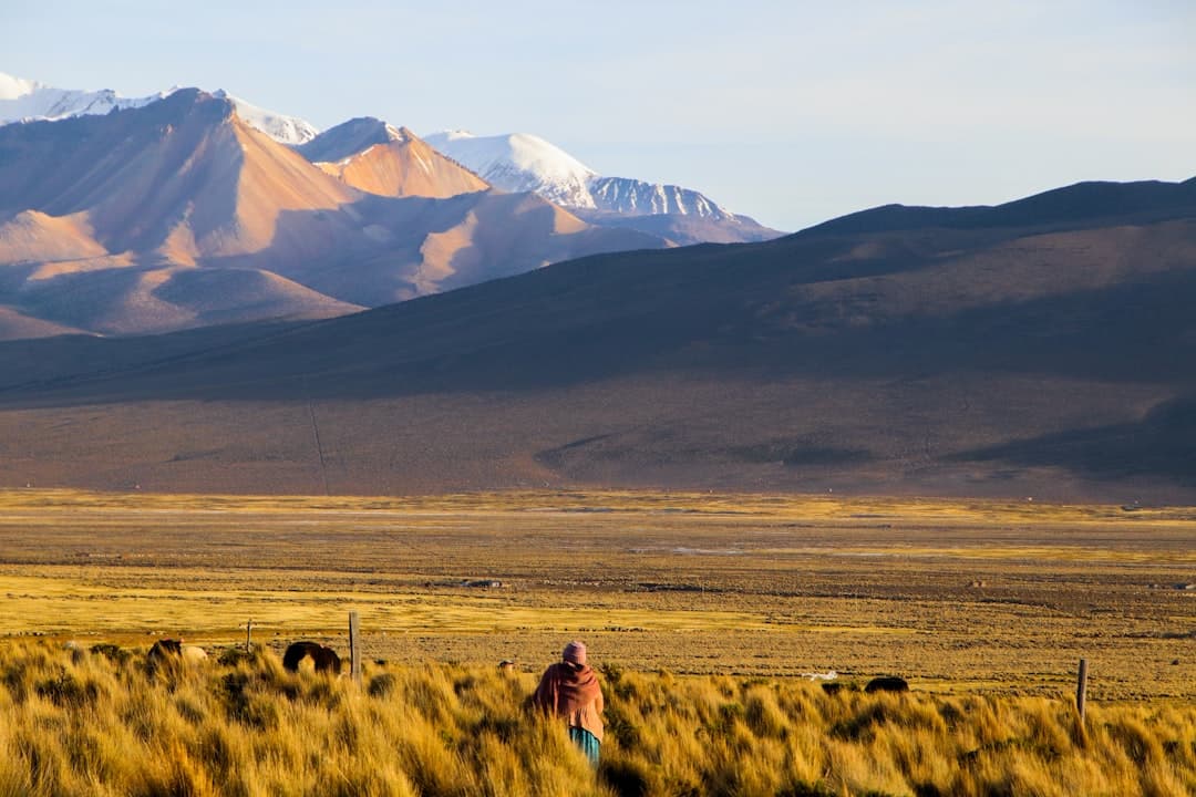 Bolivia's Ancestral Traditions Find a Growing Audience on the World Stage