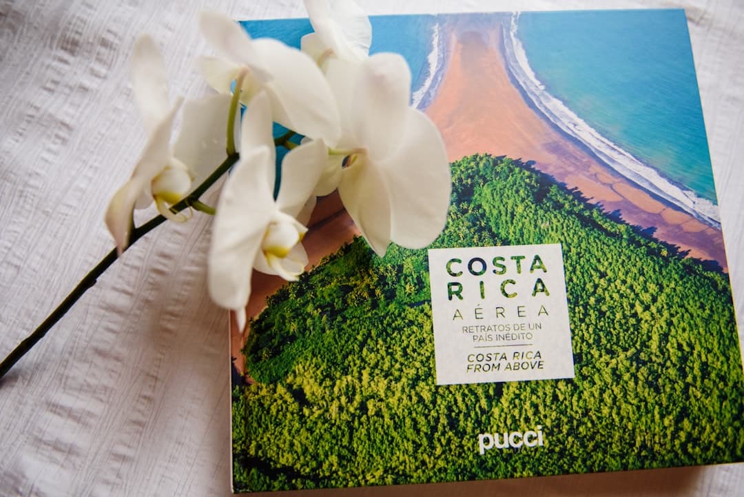 Costa Rica's Cultural Canvas: A Nation Shaped by Art, Craft, and Indigenous Legacy